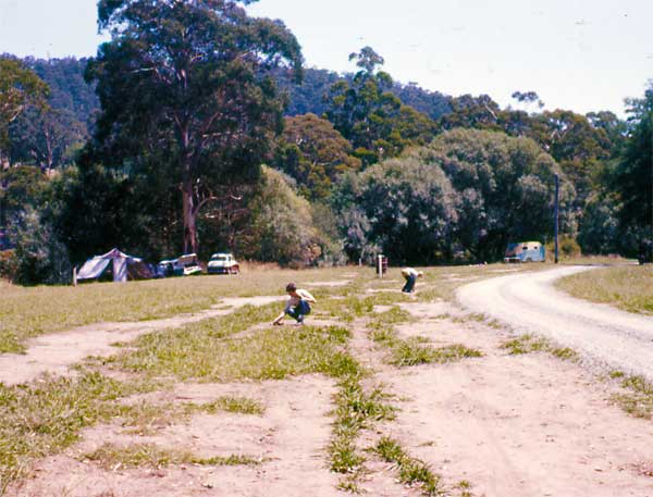 Sleepers Warburton caravan park