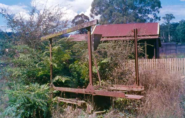 Thing at Richards sawmill